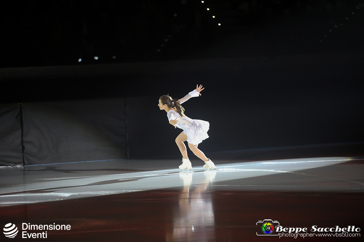 VBS_1761 - Monet on ice.jpg